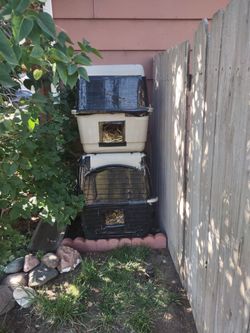 FREE cat enclosures.