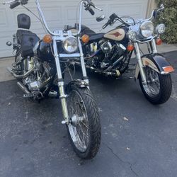 2 Harley Davidson’s