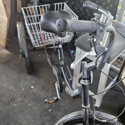 Adult Tricycle 