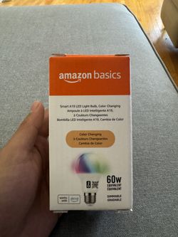 Amazon Basics Lightbulb LED