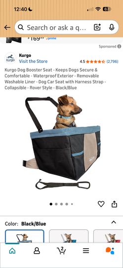 Dog Car Seat