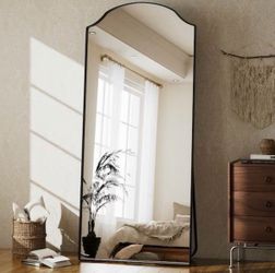 Black 32 in. W x 71 in. H Arched Modern Metal Framed Full Length Mirror
