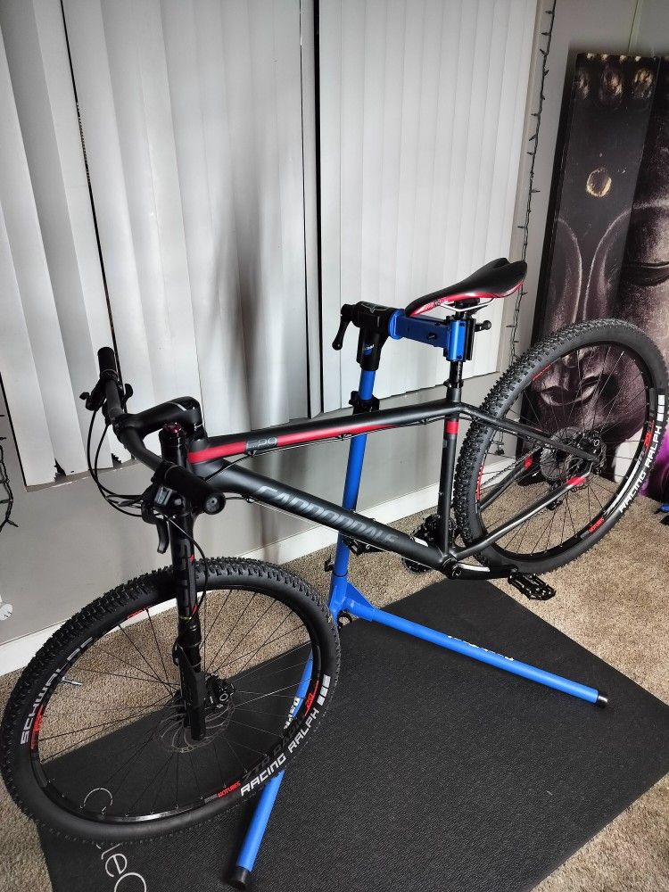 Cannondale F29 Carbon Fiber Bike