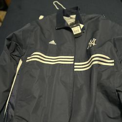 New York Yankees sweat suit brand new