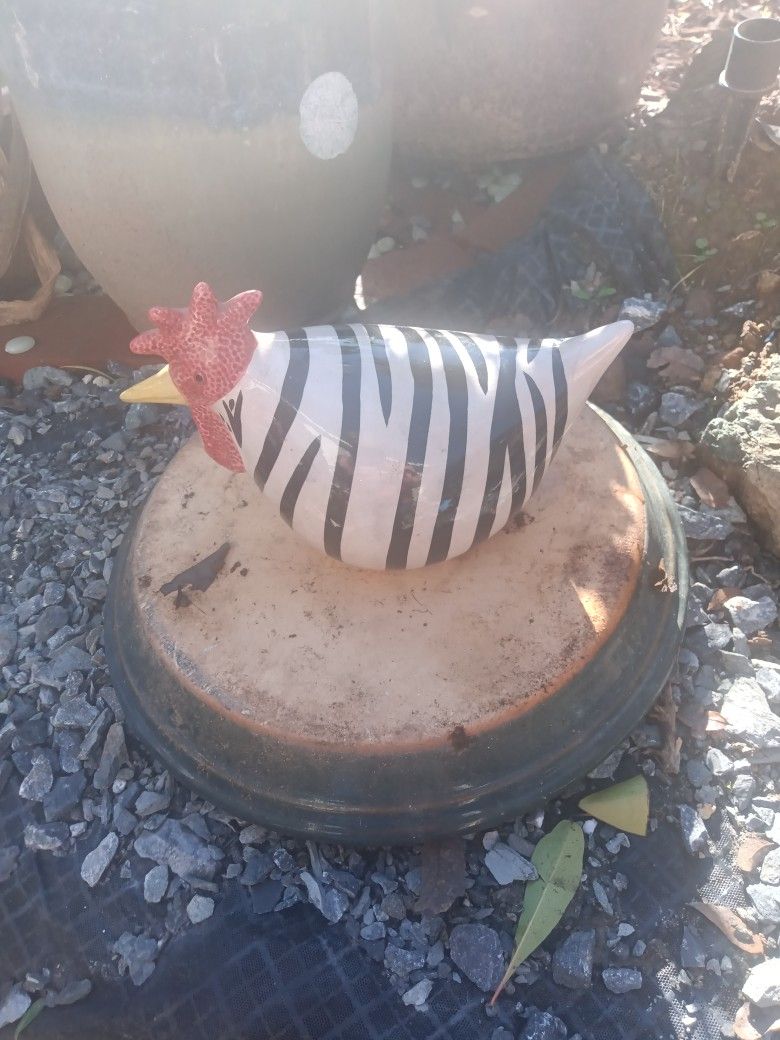 Chicken