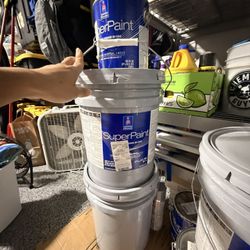 Paint In Good Condition. 