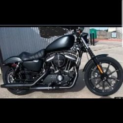 2019 Harley Davidson 883