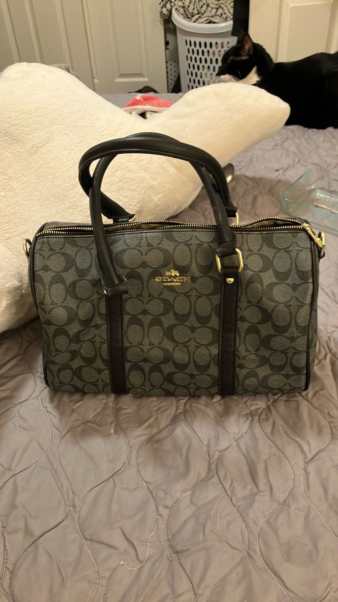 Coach Bag/purse
