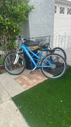  Two Bicyclets