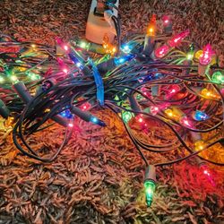100-Led lights Multi-Color Blue Red Green Purple Orange Color Lights, Green Wire, Indoor/outdoor