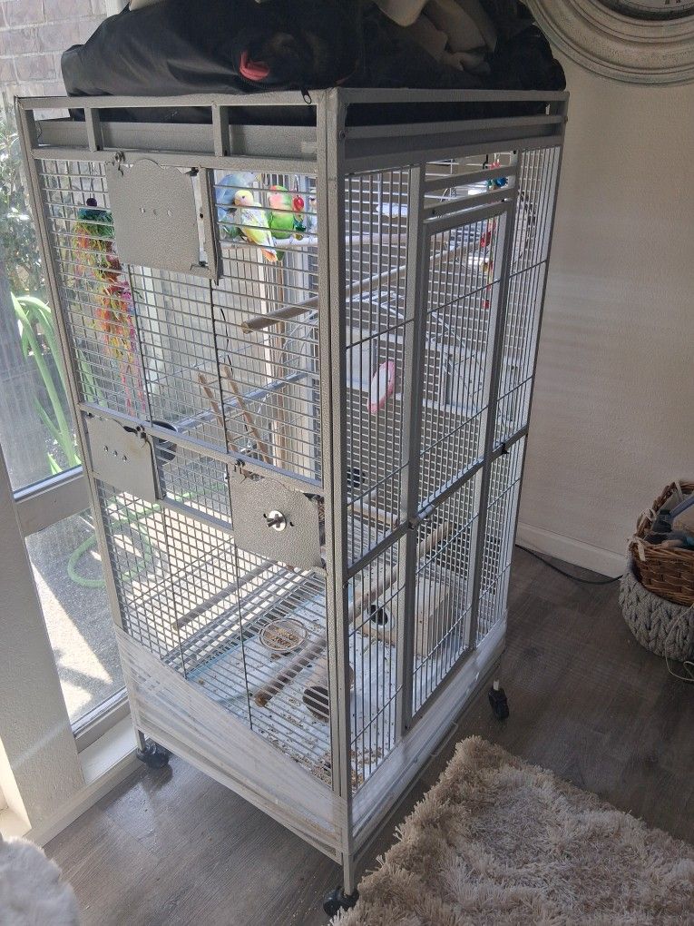White Bird Cage 