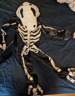 Glow In The dark Dinosaur Costume