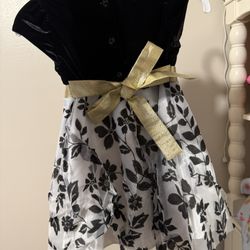 Size 3  Toddlers  Girls Dress