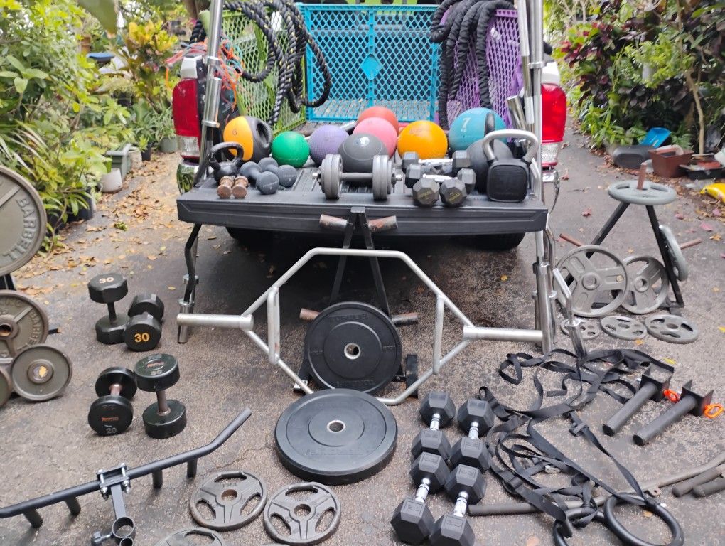 VARIETY OF WEIGHTS : DUMBBELLS (RUBBER & STEEL) / PLATES / BARS : (5'/6'/7 FOOT /EZ CURL ) / KETTLEBELLS : (10s-50s) / MEDICINE BALLS