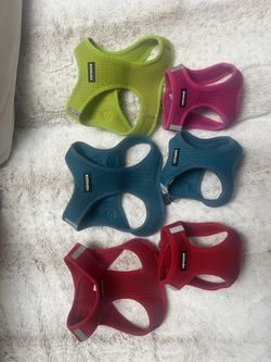 Dog Harnesses