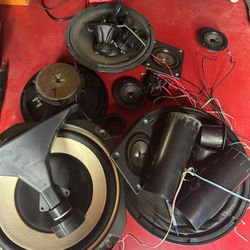 Speaker Parts 