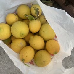 Organic Lemons 🍋 A Full Bag For $15 They Are Good And Juicy .