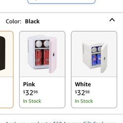 Mini Fridge
