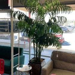 Artificial Tree Plant 8ft -9ft Tall ($125 Each) 2 Available 