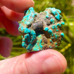 Turquoise 