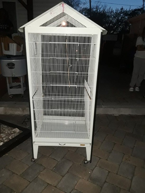 Bird Cage
