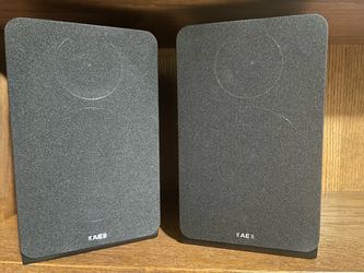 Acoustic Energy AE1