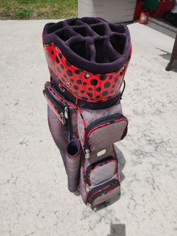 Beautiful Golf Bag Like New