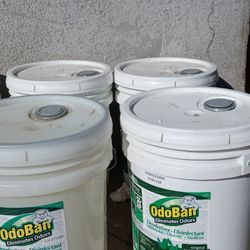 Odoban Desinfectant/Deodarizer