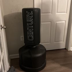 Century Punching Bag