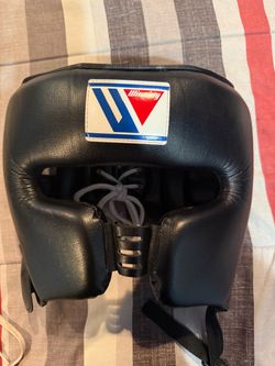 Winning boxing headgear