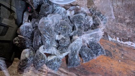 Mixed lot of  screws and fastners etc