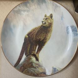 Collectible Plate