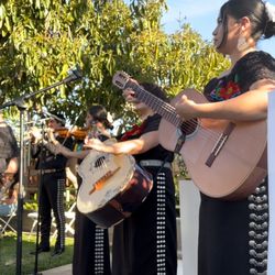 Mariachi Vihuela Trompeta Violin..