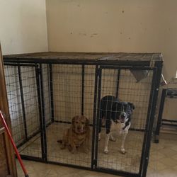 Dog Enclosure