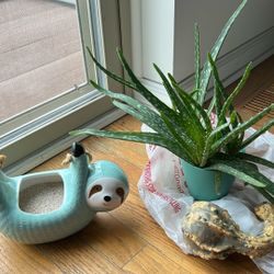 Sloth Hanging Planter & Aloe Vera Plant
