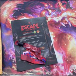 2 Day Rave Ticket For Sale 