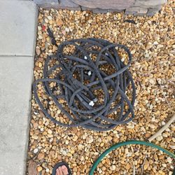 Water Hose 2 Each 