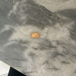 one butterbeer goldfish