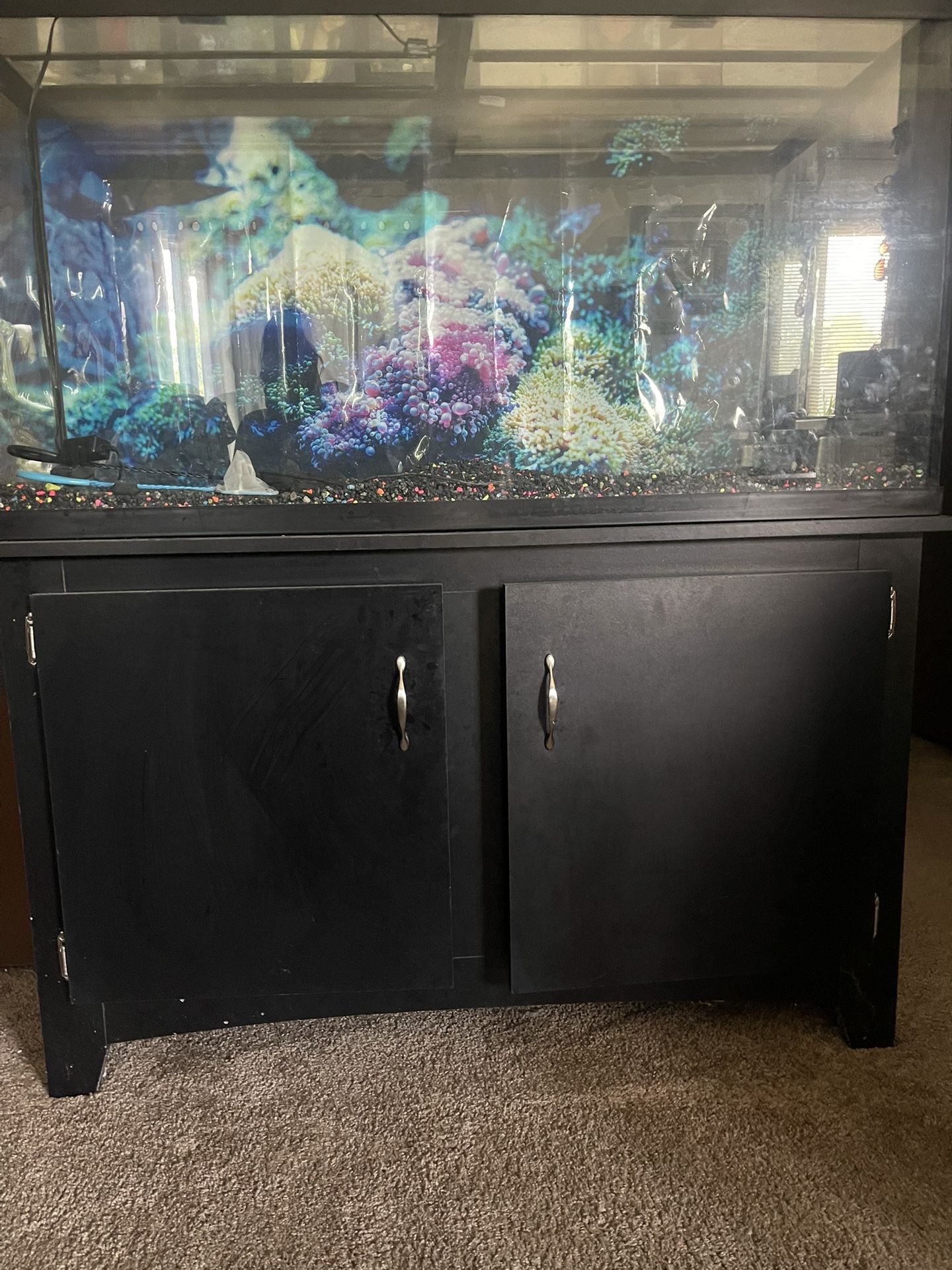 Fish Tank