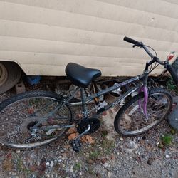 Stone Mountain 18 Speed Bike 