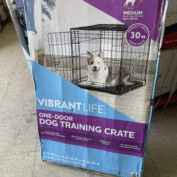 Dog Training Medium