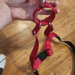 Red And Black Martingale PetSafe Harness! 