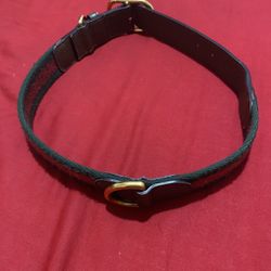 Authentic Gucci Dog Collar Medium/large Dogs 