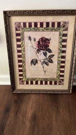 Antique Rose Frames 