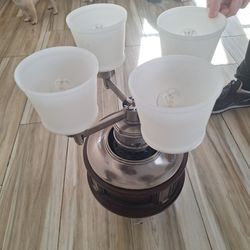 Cieling Fan W Lights