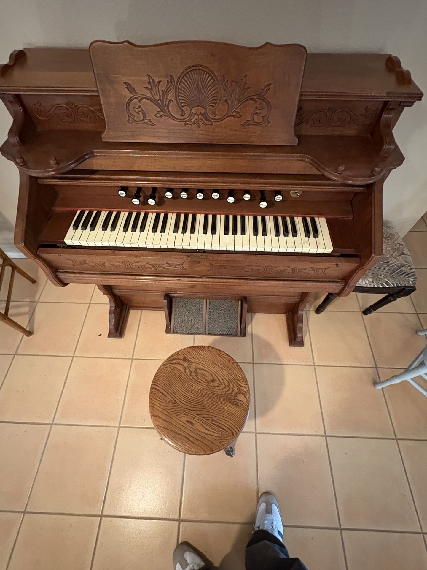 Organ