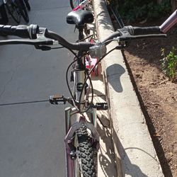 Magna 24" 21 Speed Bike 🚲