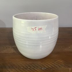 Plant Pot - 7.5”
