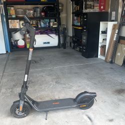 Adult Scooter 