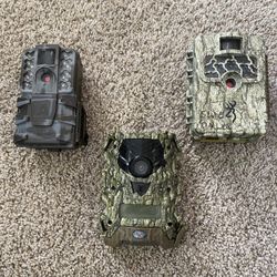 Trail Cameras 